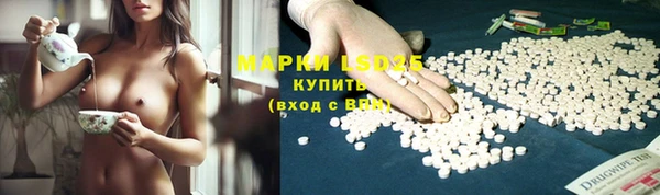 хмурый Зеленокумск
