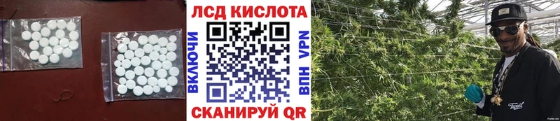 Купить закладки  Петровск  Лсд 25 экстази кислота 